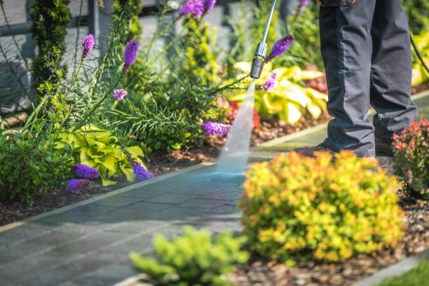 Best Gutter Cleaning  in Melbourne, FL